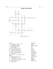 photosynthesis crossword puzzle answer key pdf