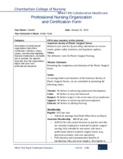 NR447 Professional Nursing Organization and Certification Form