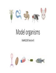 S8_Model Organisms_Slides_F22_CanvasVersion.pdf