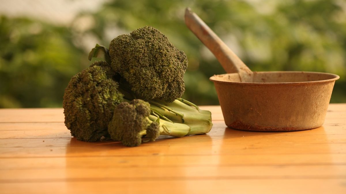 broccoli brain food