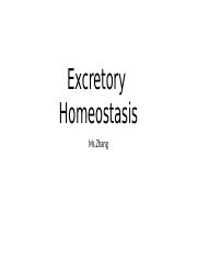 4-2_Excretory__Homeostasis[1].pptx