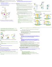 PCB3023 studyguide 1.pdf