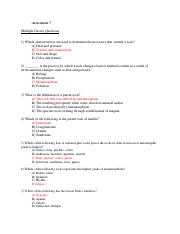 Assessment 7 - Answers.pdf