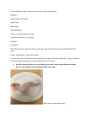 Chicken Wing Dissection Lab 10.docx