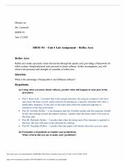 UNIT 4 LAB ANSWERS.pdf