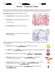 Connective Tissue Review.pdf