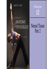 Chapter 12 - Neural Tissue Part 2 - Neuron Physiology (1).pptx