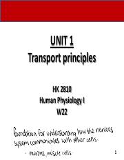 UNIT 1 - Transport principles SN.pdf