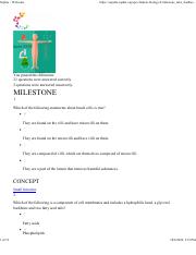 Milestone Final.pdf