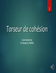 Torseur de cohésion.pdf