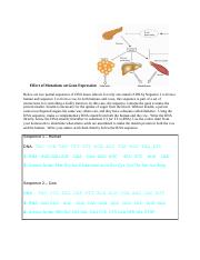 Effect of Mutations on Gene Expression.docx