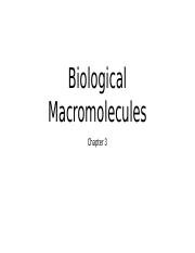 Ch._3_-_Biological_Macromolecules.pptx