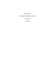 Lab report #6 pdf.pdf