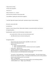 Notes 5 Steps Anemia workup.docx