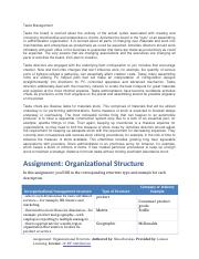 Assignment_Organizational_Structure.docx