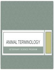 Animal Terminology.pptx