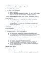INTBUS300 SME Essay.pdf