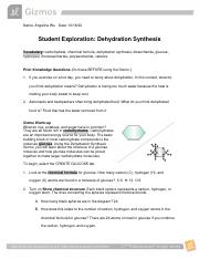 DehydrationSynthesisSE.pdf