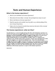 What is the human experience.docx