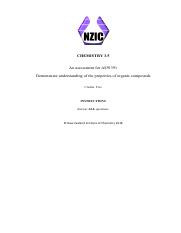 NZIC 2018.pdf