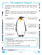 emperor-penguin-life-cycle-differentiated-reading-comprehension-activity.pdf