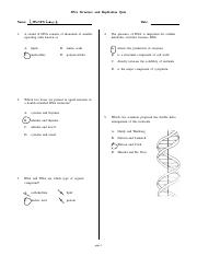Lauren Lewis - DNA Structure and Replication.pdf
