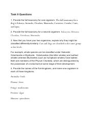 Task 9 Questions.pdf