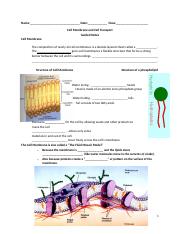 Cell Membrane and Transport Guided Notes.docx