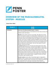 OVERVIEW OF THE MUSCULOSKELETAL 3.pdf