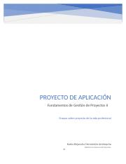 Proyecto aplicacion.docx