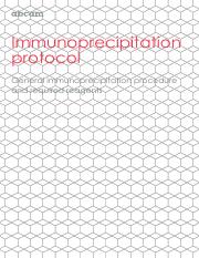 Immunoprecipitation_protocol.pdf