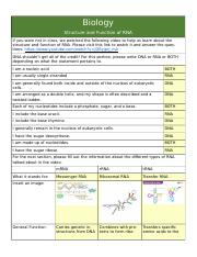 Bio.T3.M2.02 Structure of RNA - Learn.docx