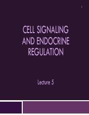 BIOL382-Lecture 5Cell Signaling and Endocrine Regulation copy.pdf