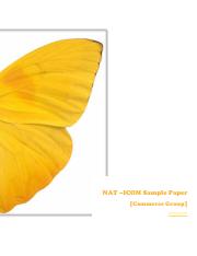 ntsamplepaper-nat-ICOM.pdf