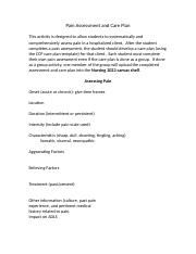 Pain Assessment and Care Plan-2.docx