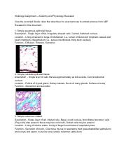 Histology Assignment.pdf