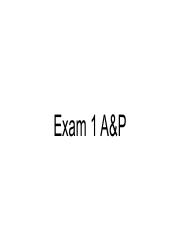 Exam 1 A&P.pdf