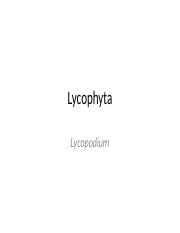 Lycophyta-Lycopodium.pptx