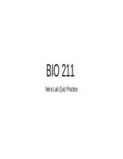 BIO 211 Vein Lab Quiz Practice.pptx