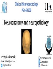 Session1Lecture_Neuroanatomy_Rossit_slidesBB.pptx