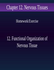 12. Functional Organization of Nervous Tissue HW.pptx