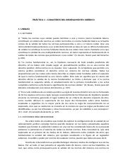 PRÁCTICA 1_CARACTERES DEL ORDENAMIENTO JURÍDICO (1).docx