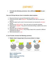 Copy of Enzymes (Notes and Practice).pdf