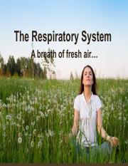 08 The Respiratory System.May2016.pdf