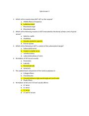 Spinal_exam_2_(actual)_typed.doc