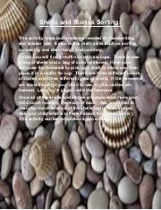 Shells and Stones Sorting.docx.pdf