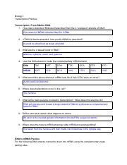 Copy of Bio I Transcription Practice - Electronic Submission (1).pdf