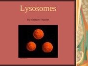 Lysosomes Presentation