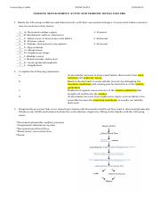 Worksheet on Nursing Management - ACUTE AND CHRONIC RENAL FAILURE.docx