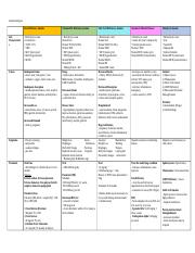 Anemia Subtypes Chart.docx